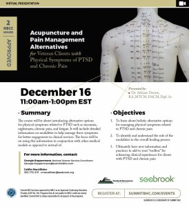 SummitBHC-AcupuncturePain-Dec16