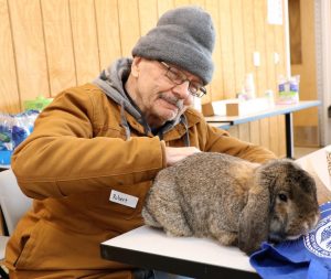 older veteran petting a grey bunny