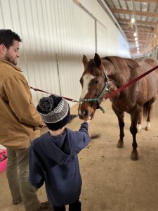 young boy and dad feed a horse a carrot