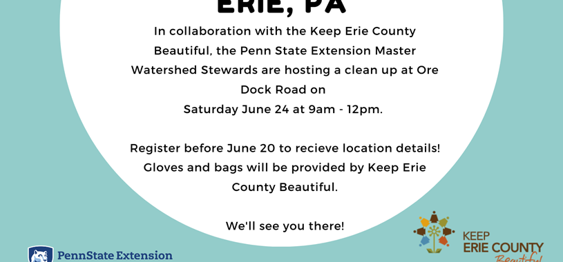 Erie June cleanup