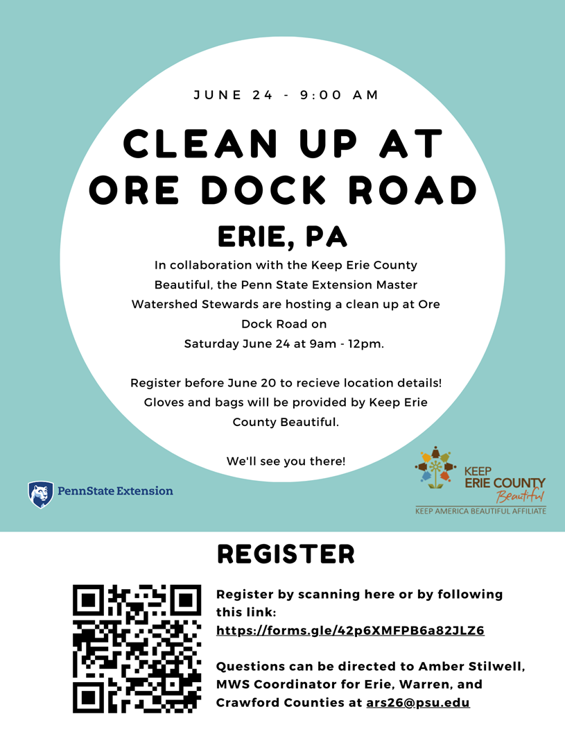 Erie June cleanup