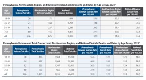 2021 suicide deaths by age group
