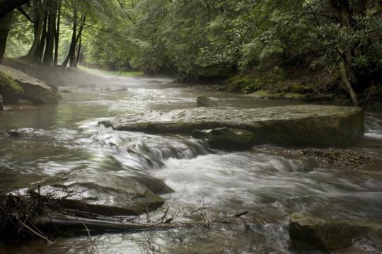Cook Forest, PA
